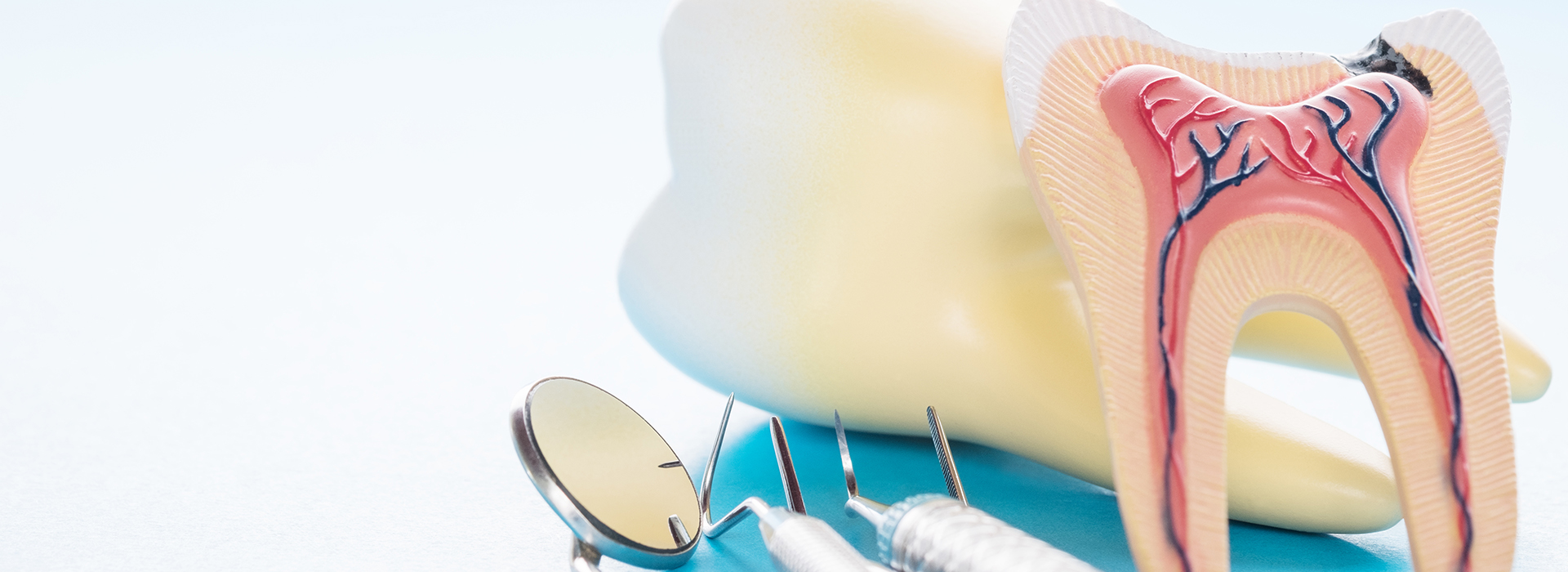 GD Dentistry | Bone Graft, Digital Radiography and All-on-4 reg 